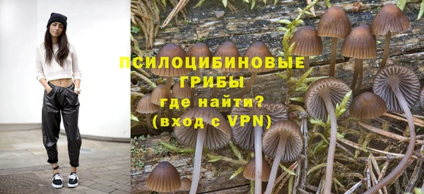 молекула духа Арсеньев