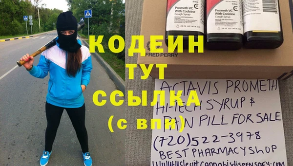 молекула духа Арсеньев