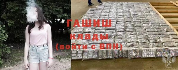 молекула духа Арсеньев