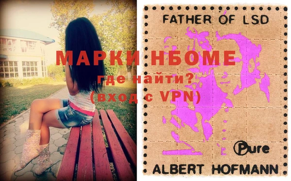 молекула духа Арсеньев