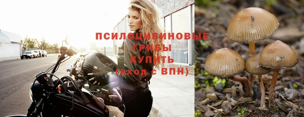 молекула духа Арсеньев