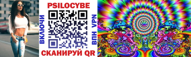 купить наркоту  Киренск  Галлюциногенные грибы Cubensis 